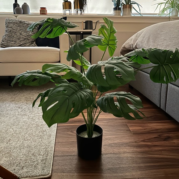 Artificial 28” Monstera Plant - Picture 2 of 5